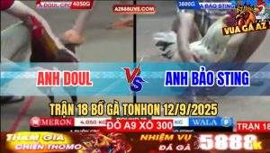 Trận 18 Bồ Tonhon 12/9/2025