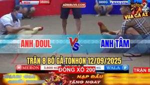 TRẬN 8 BỒ TONHON 12/9/2025