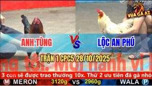 Trận 1 CPC5 28/10/2025 - Anh Tùng Và Anh Lộc An Phú