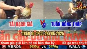 Trận 10 CPC5 26/10/2025 - Anh Tài Rạch Giá Và Anh Tuấn Đồng Tháp
