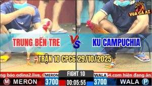 Trận 10 CPC6 29/10/2025 - 2 Con Đâm Quá Ác Bướm Lọt Chết, Điều Gật Gù