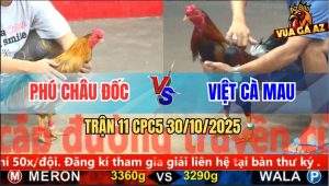 Trận 11 CPC5 30/10/2025 - Anh Phú Châu Đốc Và Anh Việt Cà Mau