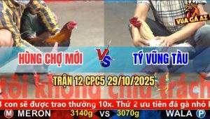 Trận 12 CPC5 29/10/2025 - Anh Hùng Chợ Mới Và Anh Tý Vũng Tàu