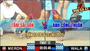 Trận 12 CPC6 12/10/2025 - Một Phát Ngay Ông Địa Điều Xanh Té Hết Cứu