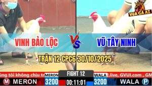 Trận 12 CPC6 30/10/2025 - Gà Úa Anh Vũ Có Chân Xạo Lờ Đưa Biện Ra Đảo