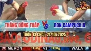 Trận 13 CPC5 21/10/2025 - Anh Thắng Đồng Tháp Và Anh Ron Campuchia