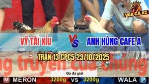 Trận 13 CPC5 23/10/2025 - Anh Vỹ Tài Xỉu Gặp Anh Hùng Cafe B