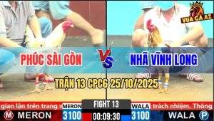 Trận 13 CPC6 26/10/2025 - Camelo Xui Dính Lại Cây Lọt Họng Hòa Tang