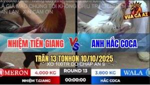 Trận 13 TonHon 10/10/2025 - Anh Nhiệm Tiền Giang Và Anh Hắc Coca