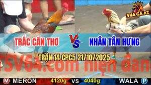 Trận 14 CPC5 21/10/2025 - Anh Trắc Cần Thơ Và Anh Nhân Tân Hưng