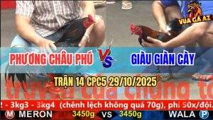 Trận 14 CPC5 29/10/2025 - Anh Phương Châu Phú Và Anh Giàu Giàn Cày