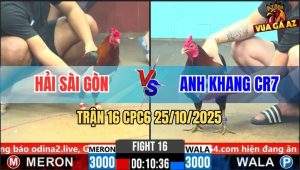 Trận 16 CPC6 26/10/2025 - Gà Xanh Anh Khang CR7 May Độ Có Chân Lấy Lúa