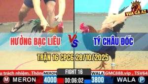 Trận 16 CPC6 28/10/2025 - Que Đâm Điều Cây Cần Quẹo Cổ Nằm Đống