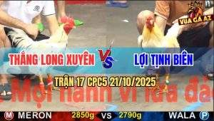 Trận 17 CPC5 21/10/2025 - Anh Thắng Long Xuyên Và Anh Lợi Tịnh Biên