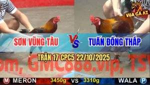 Trận 17 CPC5 22/10/2025 - Anh Sơn Vũng Tàu Và Anh Tuấn Đồng Tháp
