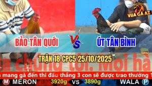 Trận 18 CPC5 25/10/2025 - Anh Bảo Tân Quới Và Anh Út Tân Bình