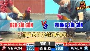 Trận 18 CPC6 24/10/2025 - Gà Xám Lùa 1 Tăng Điều Chân Xanh Té Gãy Cổ
