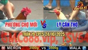 Trận 19 CPC5 24/10/2025 - Anh Phương Chợ Mới Và Anh Lý Cần Thơ