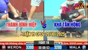 Trận 19 CPC6 20/10/2025 - Gà Que Anh Kha Tân Hồng Đang Thắng Quay Xe