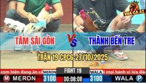 Trận 19 CPC6 27/10/2025 - Điều Nuốt Ói Đá Chân Phản Bướm Chết Tươi