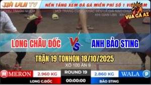 Trận 19 TonHon 18/10/2025 - Anh Long Và Bảo Sting Bất Phân Thắng Bại