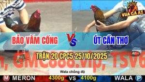 Trận 20 CPC5 25/10/2025 - Anh Bảo Vàm Cống Và Anh Út Cần Thơ
