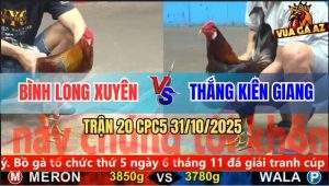 Trận 20 CPC5 31/10/2025 - Anh Bình Long Xuyên Và Anh Thắng Kiên Giang