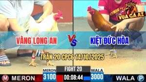 Trận 20 CPC6 14/10/2025 - Khét Chân Xanh Anh Kiệt Đá Lẹ Như Tép Nhảy