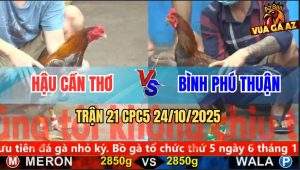Trận 21 CPC5 24/10/2025 - Anh Hậu Cần Thơ Và Anh Bình Phú Thuận