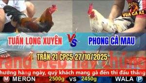 Trận 21 CPC5 27/10/2025 - Anh Tuấn Long Xuyên Và Anh Phong Cà Mau