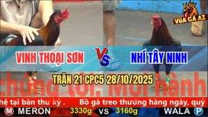 Trận 21 CPC5 28/10/2025 - Anh Vinh Thoại Sơn Và Anh Nhí Tây Ninh