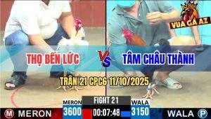 Trận 21 CPC6 11/10/2025 - Gà Úa Anh Thọ Canh Chặn 3 Chân Điều Gãy Giò