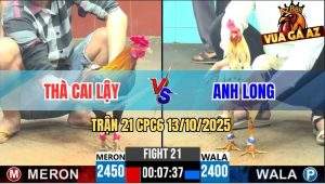 Trận 21 CPC6 13/10/2025 - Bướm Hiệu Anh Long 4G Đâm Cựa Như Sam Sít