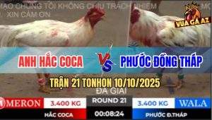 Trận 21 TonHon 10/10/2025 - Anh Hắc Coca Gặp Anh Phước Đồng Tháp