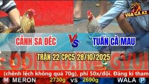 Trận 22 CPC5 28/10/2025 - Anh Cảnh Sa Đéc Và Anh Tuấn Cà Mau