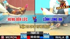 Trận 22 CPC6 11/10/2025 - Gà Bướm Anh Lệnh Long An Đâm Như Máy Sới