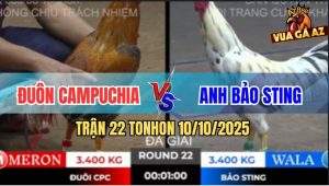 Trận 22 TonHon 10/10/2025 - Anh Bảo Sting Lấy 3 Điểm Nhẹ Nhàng