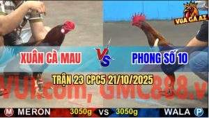 Trận 23 CPC5 21/10/2025 - Anh Xuân Cà Mau Và Anh Phong Số 10