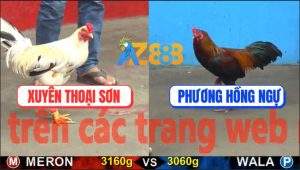 Trận 23 CPC5 22/10/2025 - Anh Xuyên Thoại Sơn Và Anh Phương Hồng Ngự