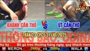 Trận 23 CPC5 27/10/2025 - Anh Khánh Cần Thơ Và Anh Út Cần Thơ