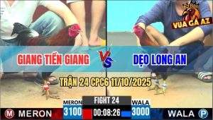 Trận 24 CPC6 11/10/2025 - Điều Cọp Anh Giang Lên Lớp Không Thành