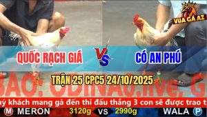 Trận 25 CPC5 24/10/2025 - Anh Quốc Rạch Giá Và Anh Có An Phú