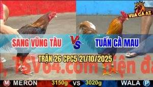 Trận 26 CPC5 21/10/2025 - Anh Sang Vũng Tàu Và Anh Tuấn Cà Mau