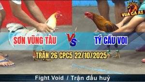 Trận 26 CPC5 22/10/2025 - Anh Sơn Vũng Tàu Và Anh Tý Cầu Voi