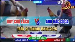 Trận 26 TonHon 18/10/2025 - Anh Duy Chợ Lách Gặp Anh Hắc CoCa