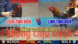 Trận 27 CPC5 21/10/2025 - Anh Lếch Tịnh Biên Và Anh Linh Tịnh Biên