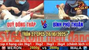 Trận 27 CPC5 24/10/2025 - Anh Quý Đồng Tháp Và Anh Bình Phú Thuận