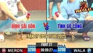 Trận 27 CPC6 11/10/2025 - Gà Anh Tính Đâm Bướm Anh Bình Bể Bóng Đèn