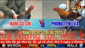 Trận 28 CPC5 28/10/2025 - Anh Nam Củ Chi Và Anh Phong Tên Lửa