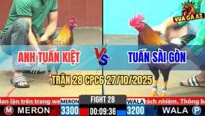 Trận 28 CPC6 27/10/2025 - Xám Nhảy Hụt Chân, Điều Canh Đá Cây Té Xe